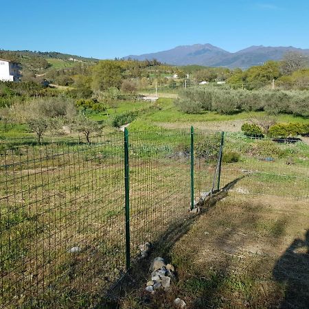 Villetta Nel Verde Ascea Exterior photo